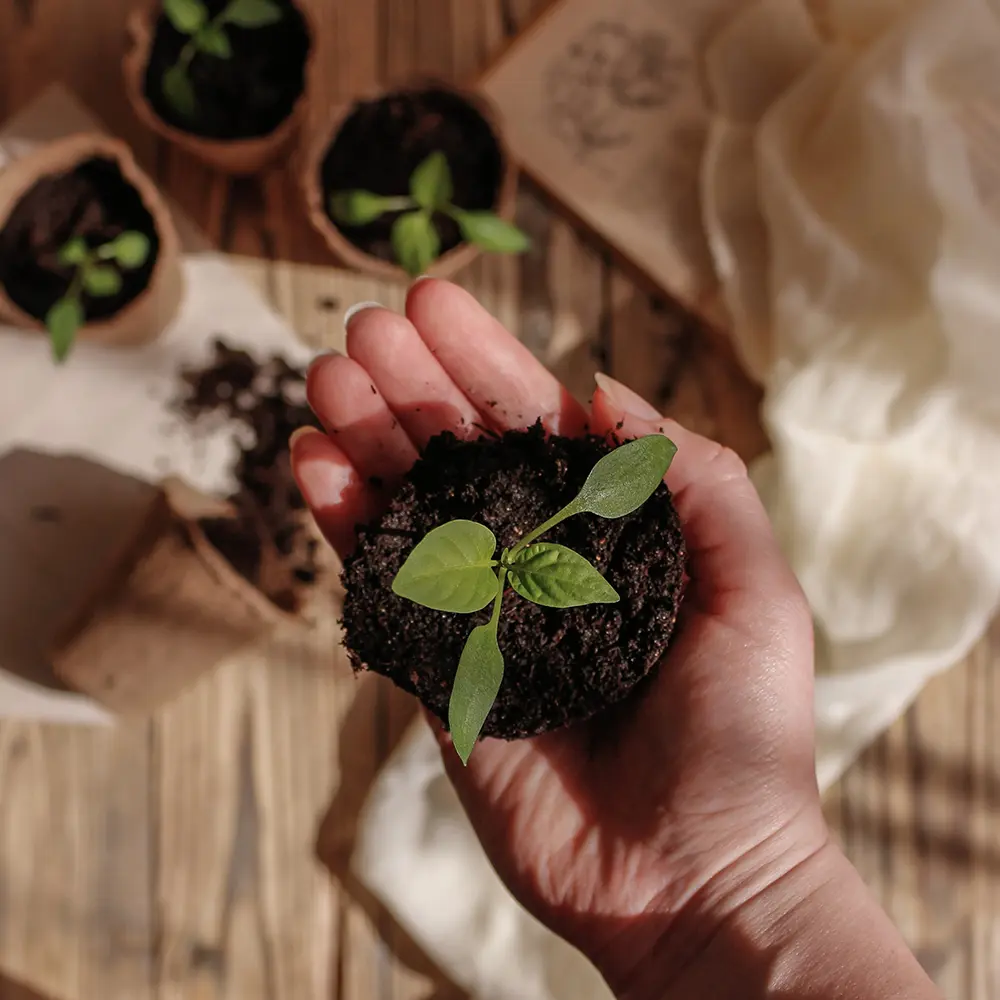 Respect de l'environnement